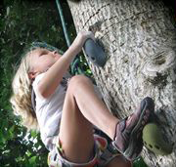 Picture for category How to Attach Climbing Holds to a Tree