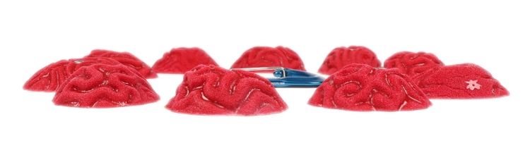 Picture of 10 Brain Coral Slab Crimps / Footholds
