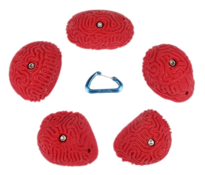 Picture of 5 XL Brain Coral Slopers #2