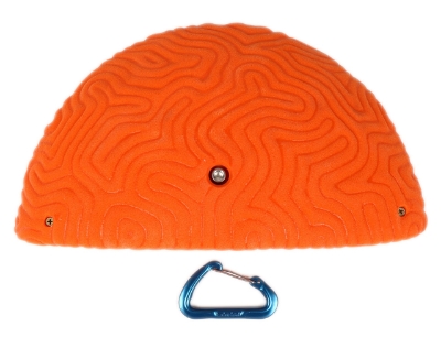 Picture of XXXL Brain Coral Ledge #2
