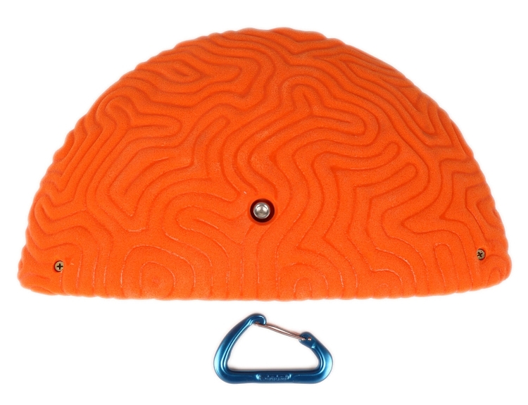 Picture of XXXL Brain Coral Ledge #2