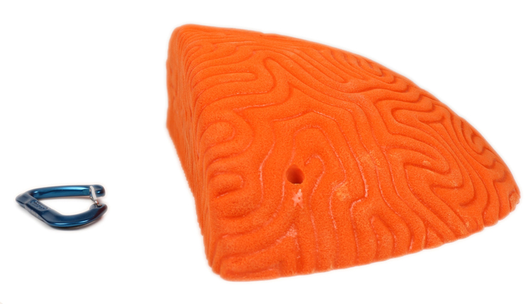 Picture of XXXL Brain Coral Ledge #4