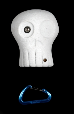 Picture of XL Skull