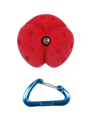 Picture of Medium Lady Bug