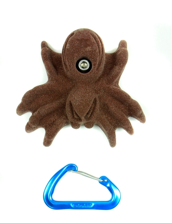 Picture of Large Spider