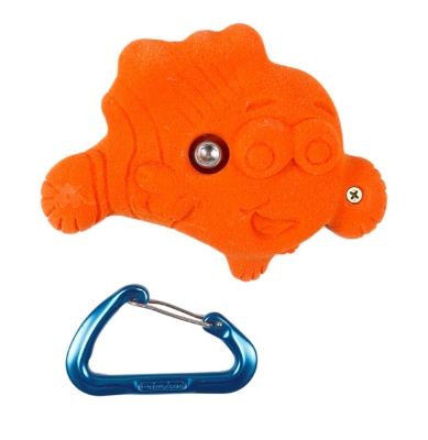 Picture of Large Clown Fish