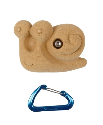 Picture of Snail