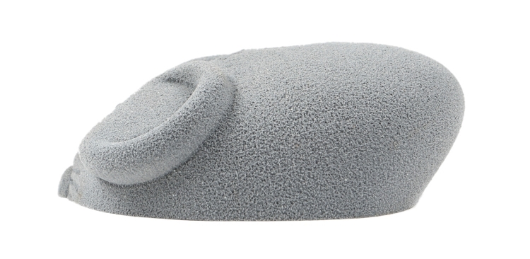 Picture of Mouse