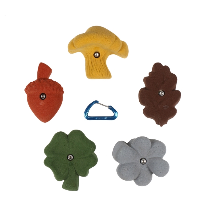 Picture of 5 Pack Garden Flora