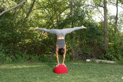 Picture of BALANCE TRAINER