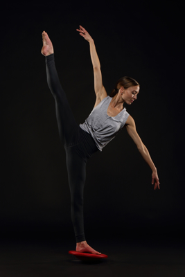 Picture of BALANCE TRAINER