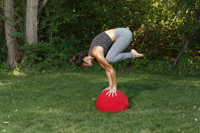 Picture of BALANCE TRAINER