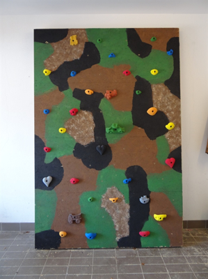 Picture of WOOD WALLS