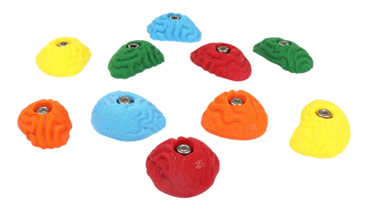 Picture of 10 Brain Coral Vertical Wall Crimps