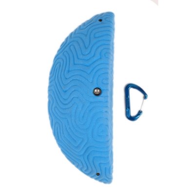 Picture of XXXL Brain Coral Wedge #1