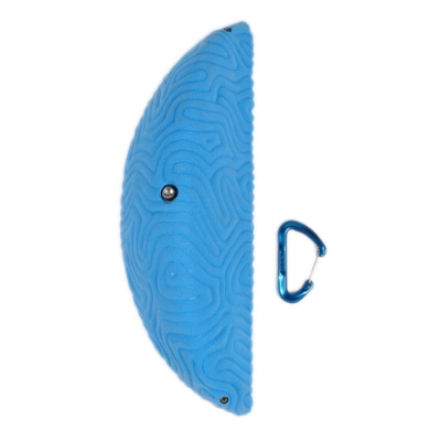 Picture of XXXL Brain Coral Wedge #4