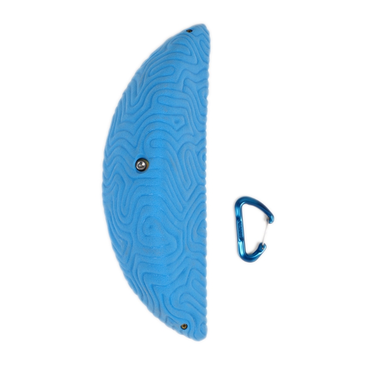 Picture of XXXL Brain Coral Wedge #5