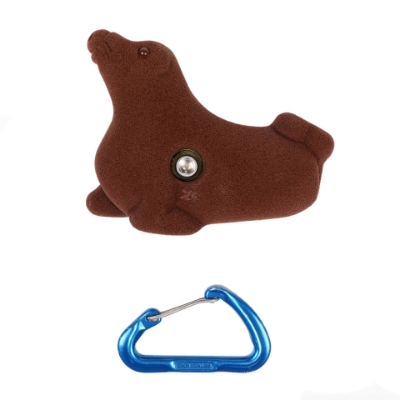 Picture of Seal