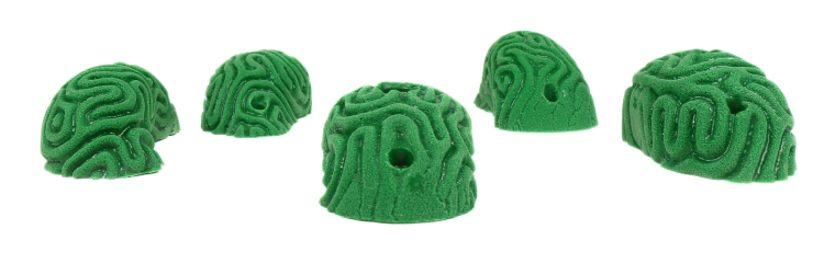 Picture of 5 Large Brain Coral Pinches #2