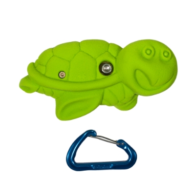 Picture of Turtle