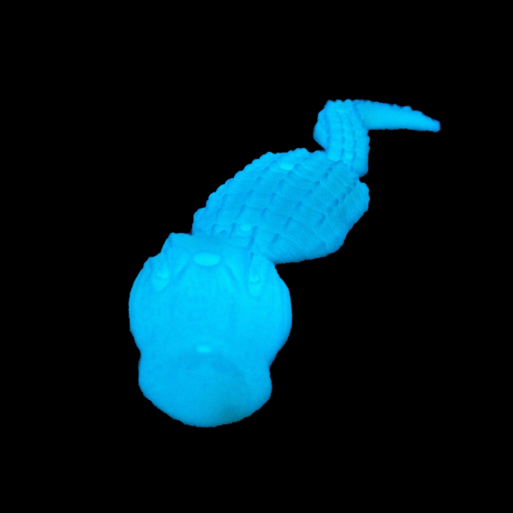 Picture of Alligator