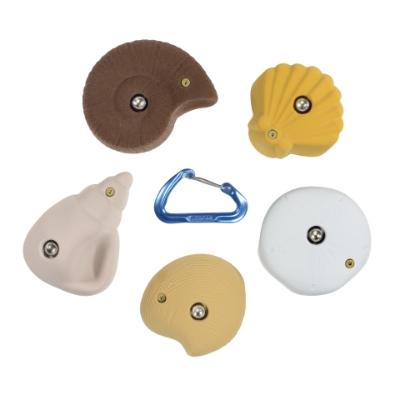 Picture of 5 Pack Sea Shells