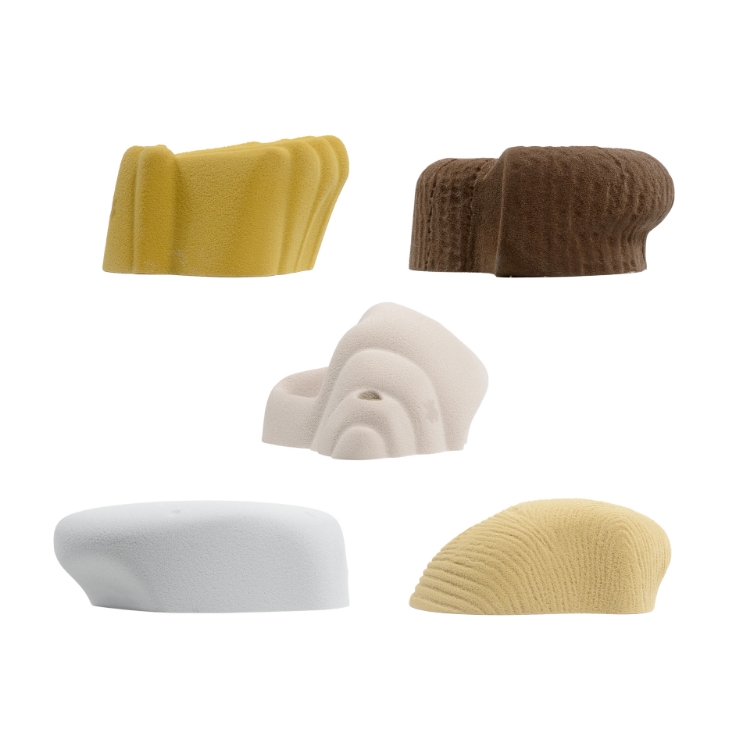 Picture of 5 Pack Sea Shells