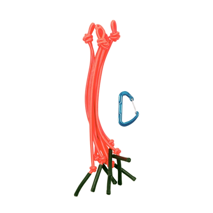 Picture of Hanging Bungee Cluster (Orange)