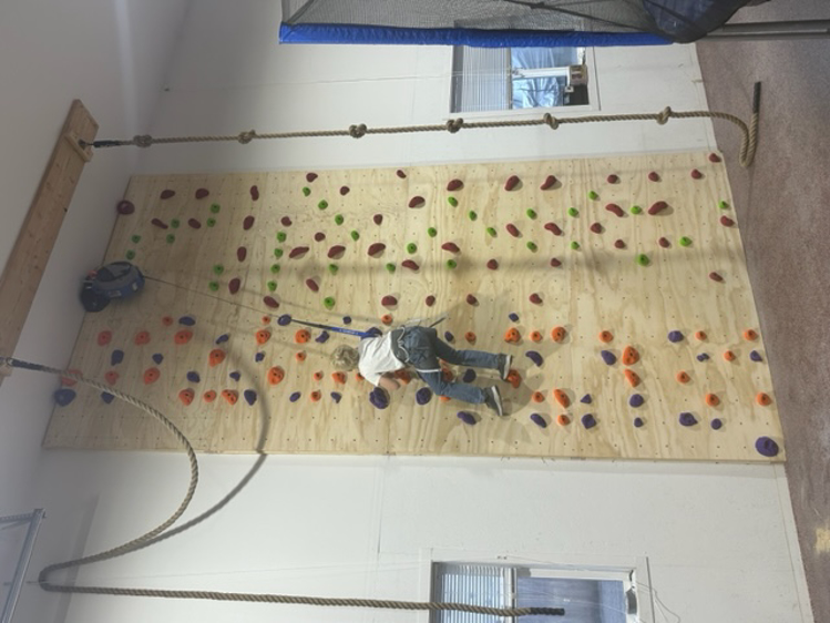Picture of TRUBLUE iQ Auto Belay