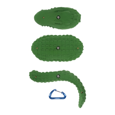 Picture of Alligator