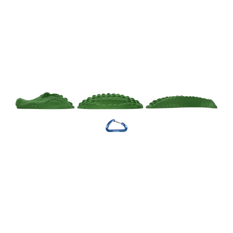 Picture of Alligator