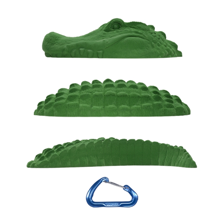 Picture of Alligator