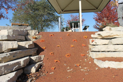 Picture of Commercial Climbing Holds & Playground Equipment