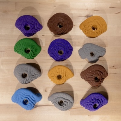 Picture of Deal of the Day: 12 Steep Wall Brain Coral Crimps - Random Colors
