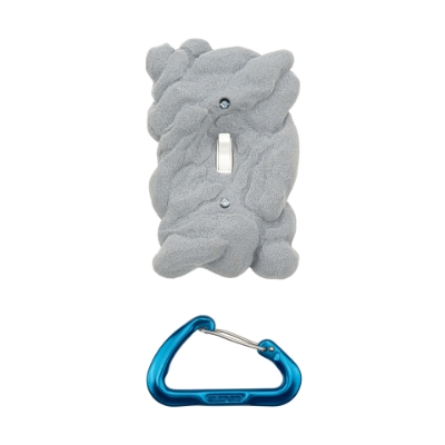 Picture of Rock-Like Single Gang Switch Vanity Cover #7