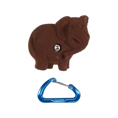 Picture of Elephant