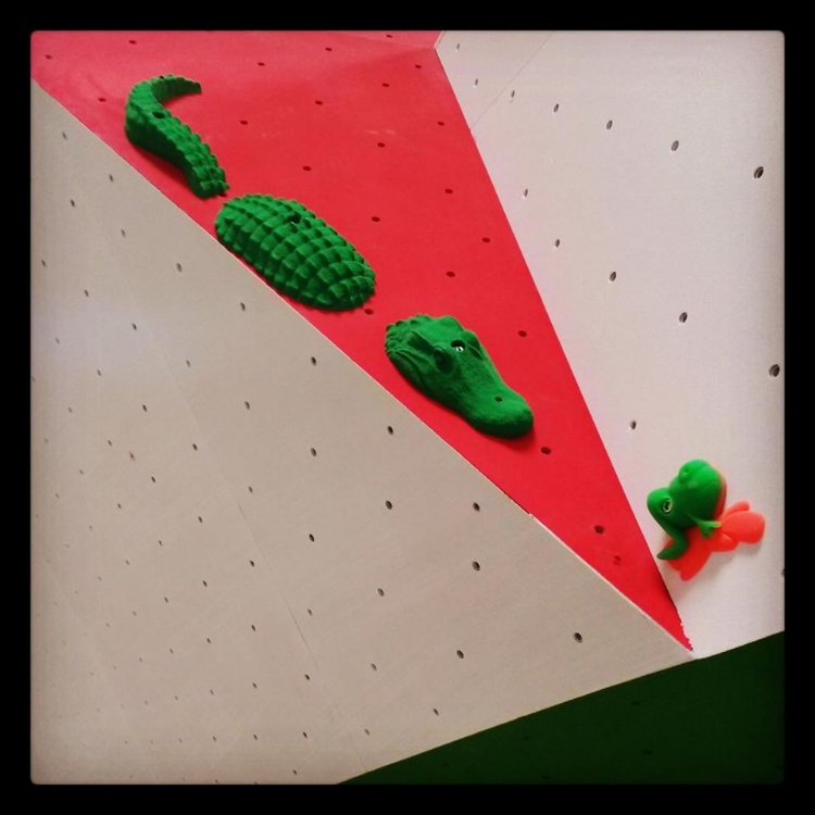 Picture of Alligator