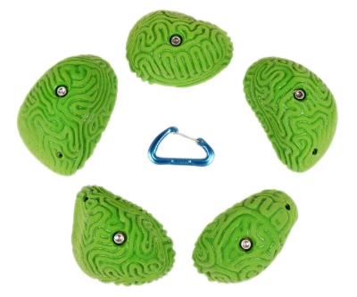 Picture of 5 XL Brain Coral Slopers #1
