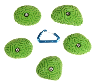 Picture of 5 Medium Brain Coral Rounders