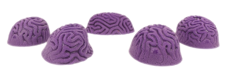 Picture of 5 Large Brain Coral Slopers