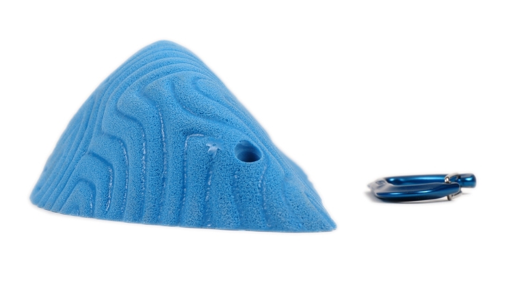 Picture of XXXL Brain Coral Wedge #4