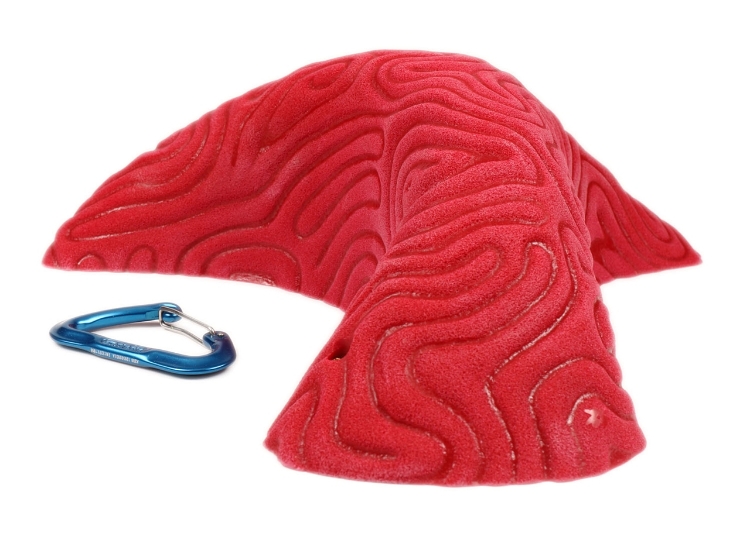 Picture of XXXL Brain Coral Organic Pinch #1