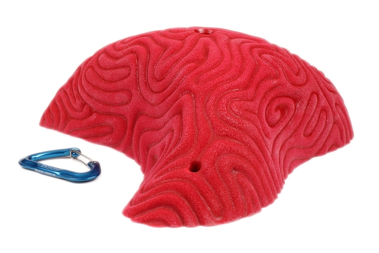 Picture of XXXL Brain Coral Organic Pinch #1