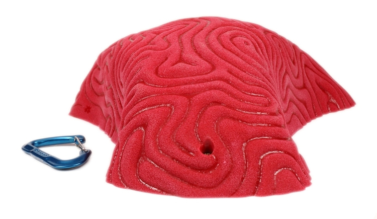 Picture of XXXL Brain Coral Organic Pinch #2