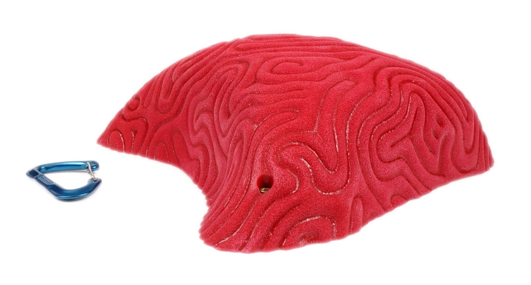 Picture of XXXL Brain Coral Organic Pinch #2