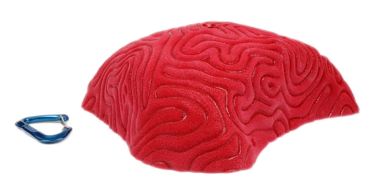 Picture of XXXL Brain Coral Organic Pinch #2