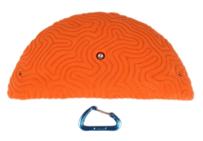 Picture of XXXL Brain Coral Ledge #1