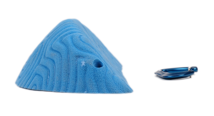 Picture of XXXL Brain Coral Wedge #5