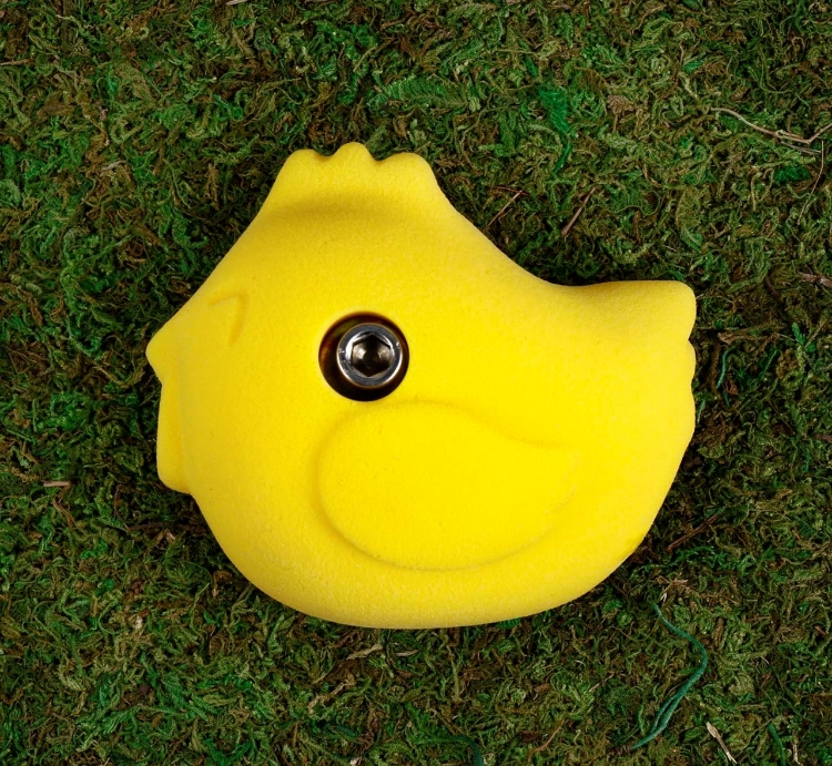 Picture of Chick