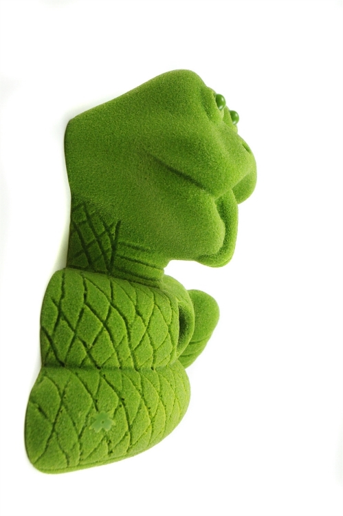 Picture of Steve the Snake